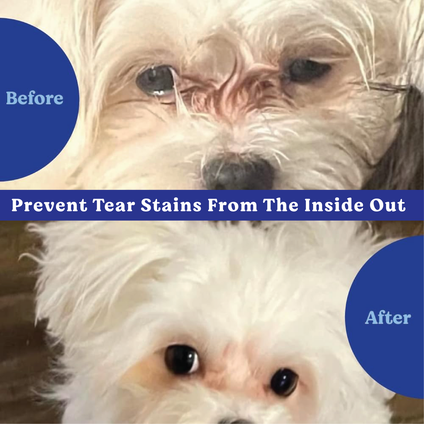 Angels’ Eyes NATURAL PLUS Tear Stain Chew for Dogs, Chicken Flavor 90ct*
