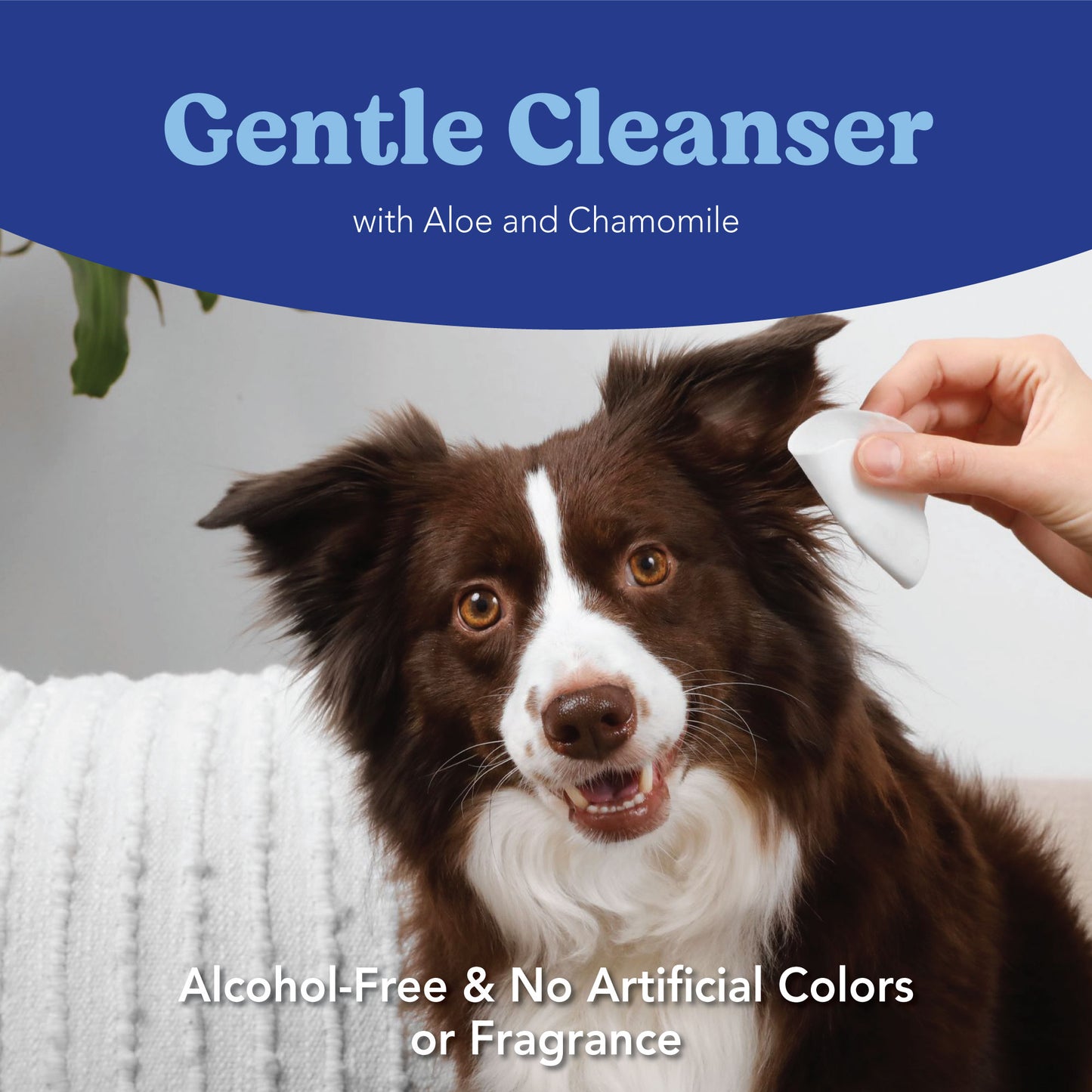 Cleanse & Heal Bundle: Gentle Ear Cleansing Wipes & Zinc-Otic Ear Relief Treatment