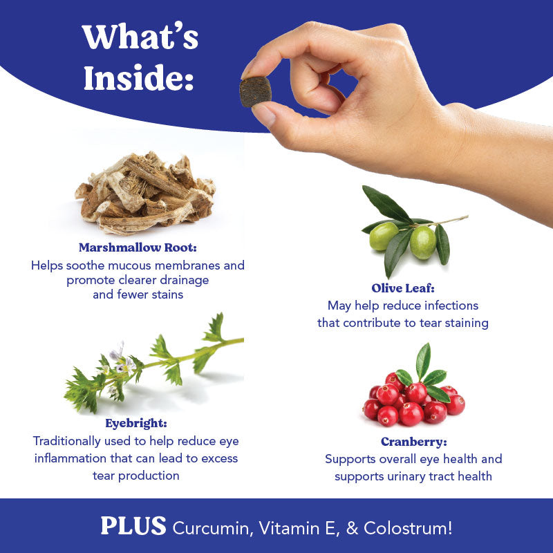 Angels’ Eyes NATURAL PLUS Tear Stain Soft Chew for Dogs, Beef Flavor 90ct*