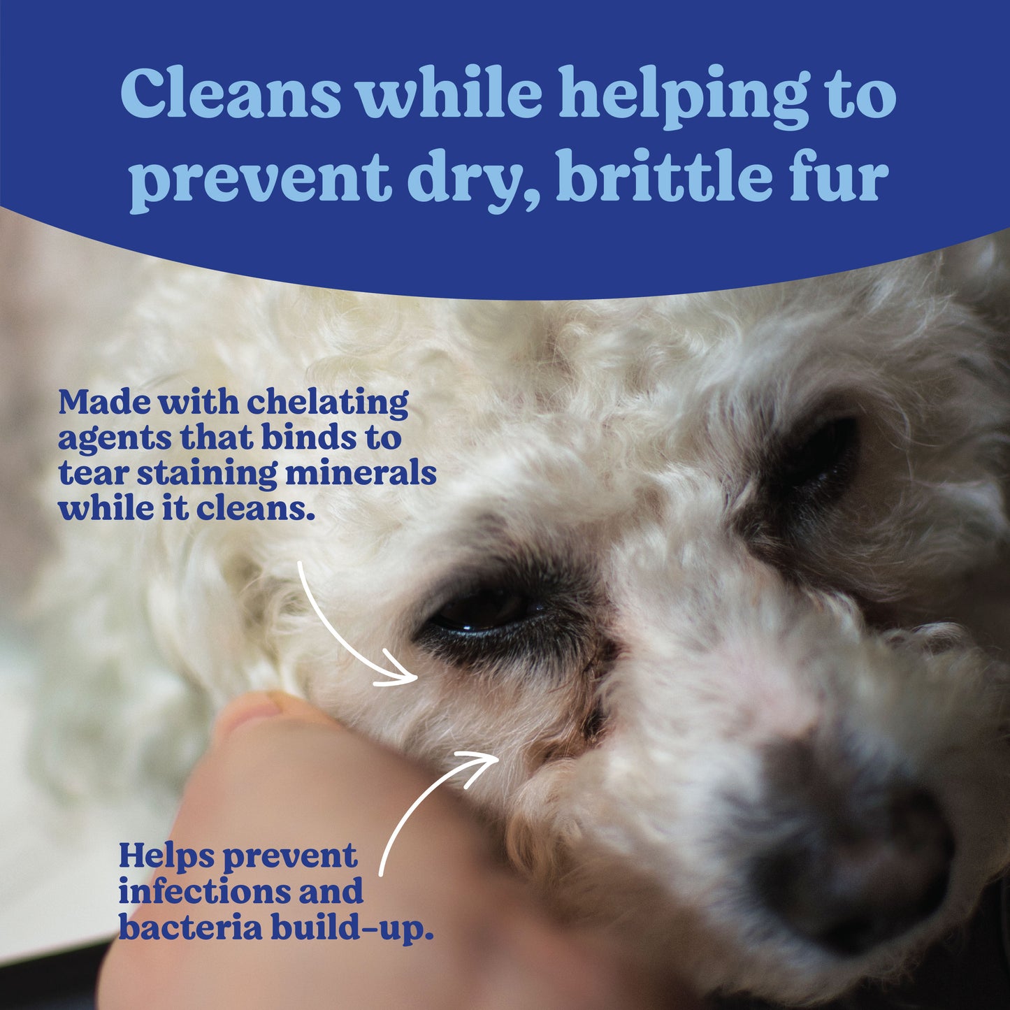 Angels' Eyes Gentle Tear Stain Wipes 100ct for Dogs and Cats