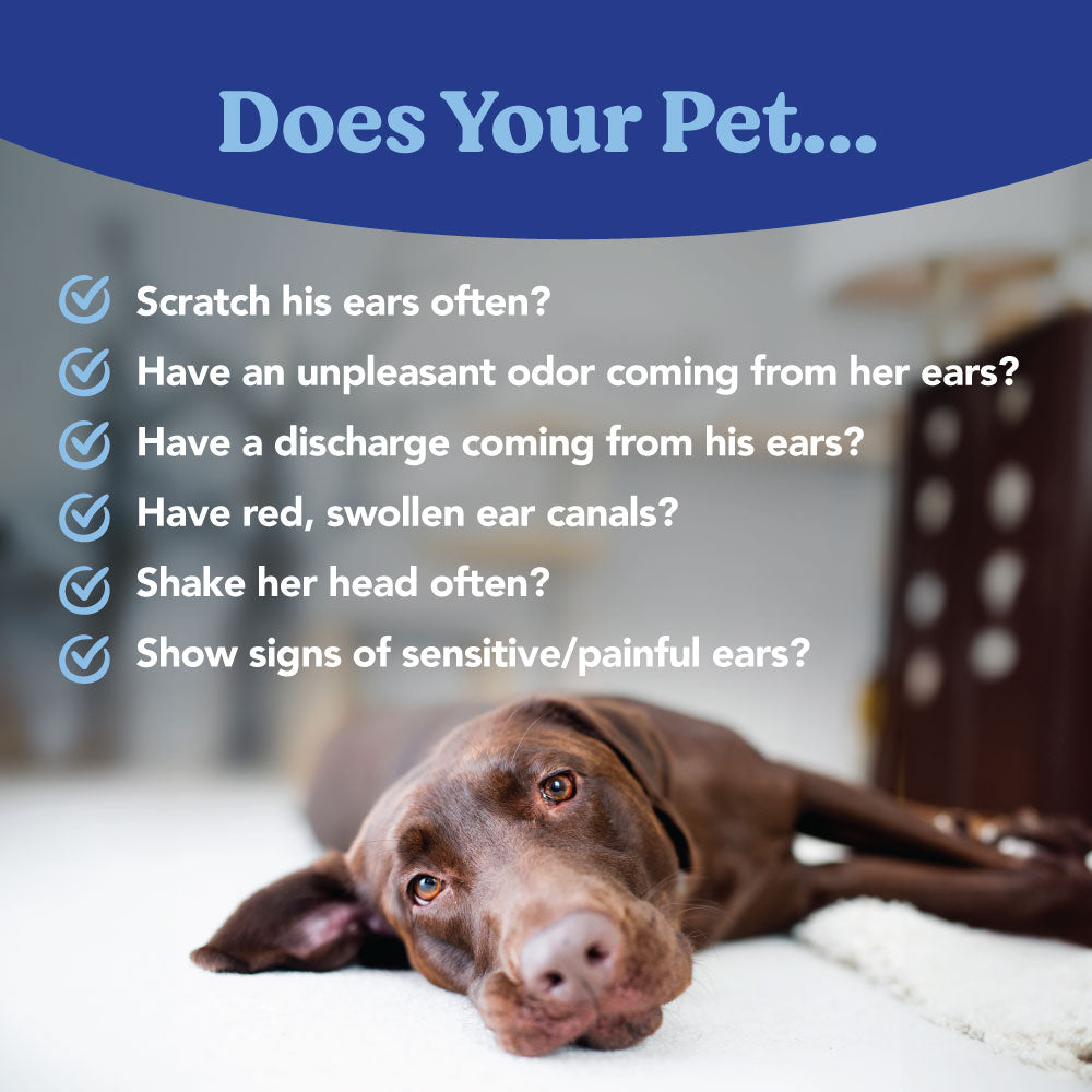 Angels' Eyes Zinc-Otic Ear Relief Treatment for Dogs and Cats