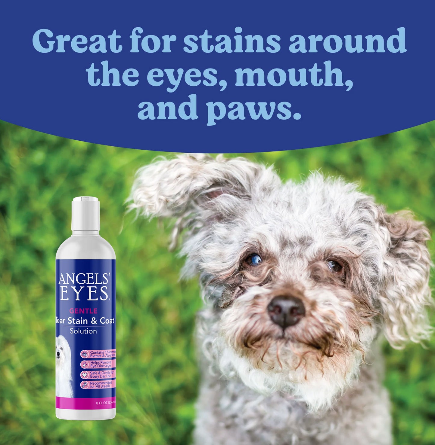 Angels' Eyes Tear Stain & Coat Solution 8 oz for Dogs and Cats