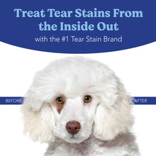 Load image into Gallery viewer, Angels’ Eyes NATURAL PLUS Tear Stain Powder for Dogs, Beef Flavor
