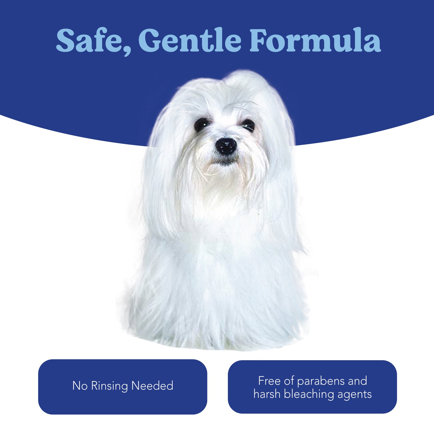 Angels' Eyes Tear Stain & Coat Solution 8 oz for Dogs and Cats
