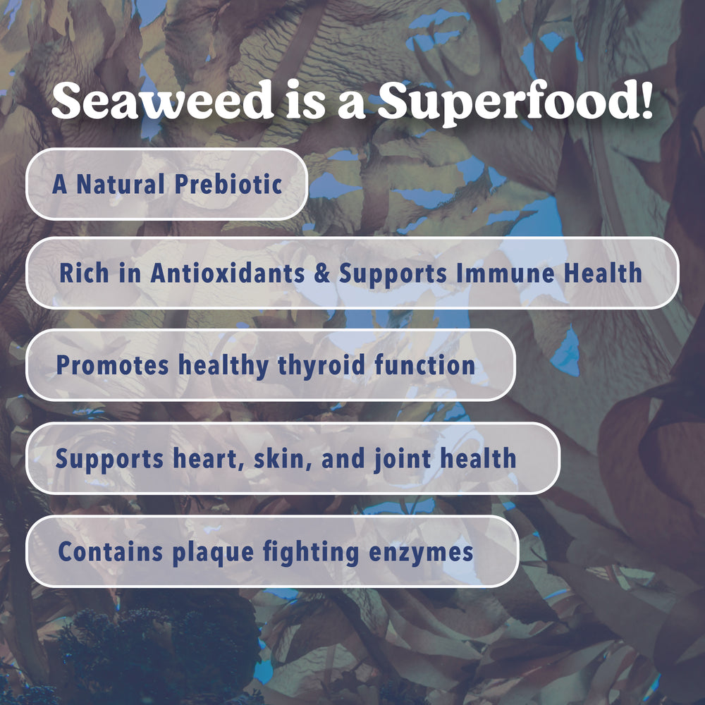 Angels’ Eyes Sea Sticks Multi-Benefit | Nutritional Seaweed Dog Treat