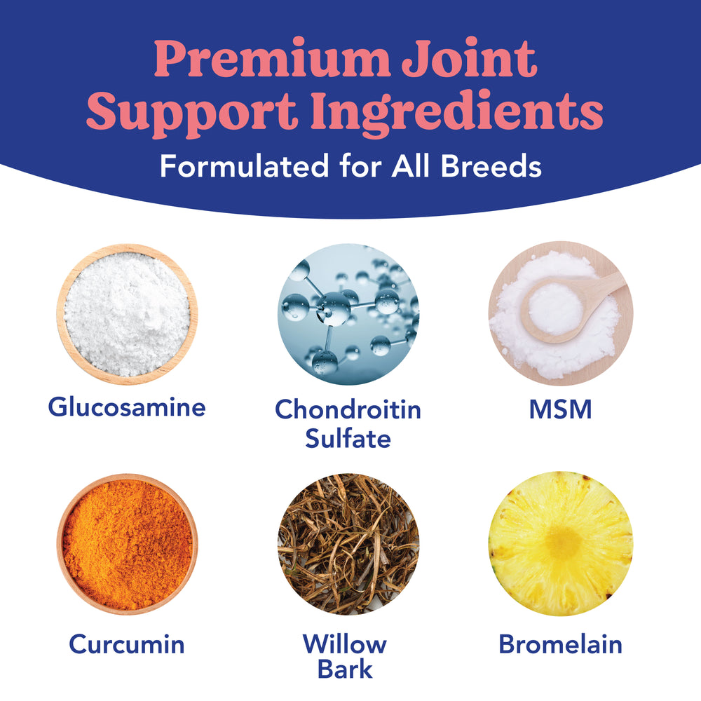 Angels’ Eyes Hip & Joint Collar | Transdermal Joint Support