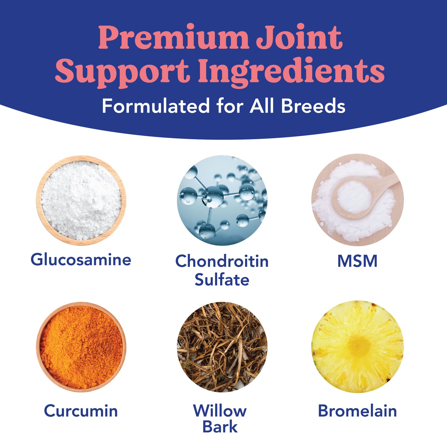 Angels' Eyes Hip & Joint Supplement, 1 Collar