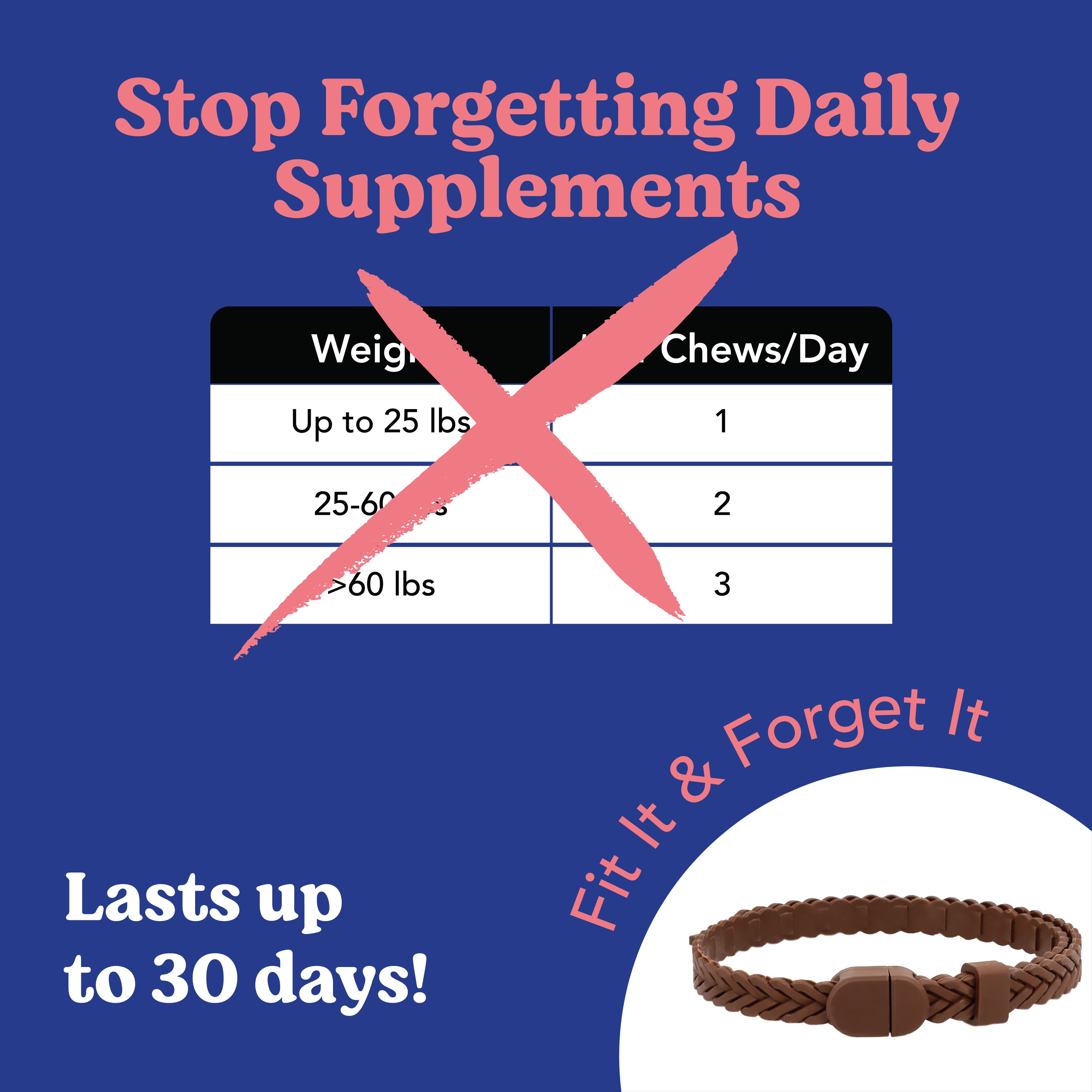 Angels' Eyes Hip & Joint Supplement, 1 Collar