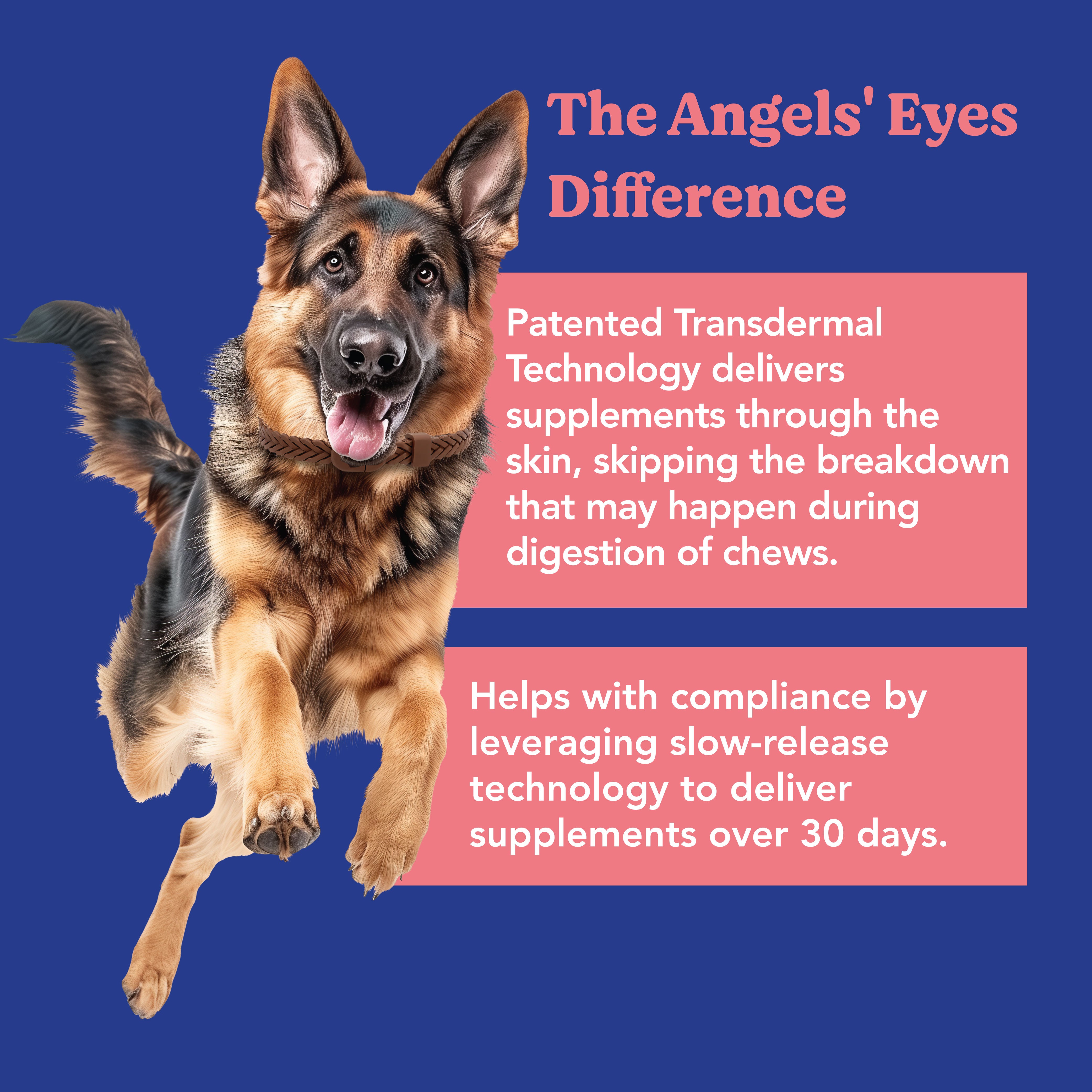 Angels' Eyes Hip & Joint Supplement, 1 Collar