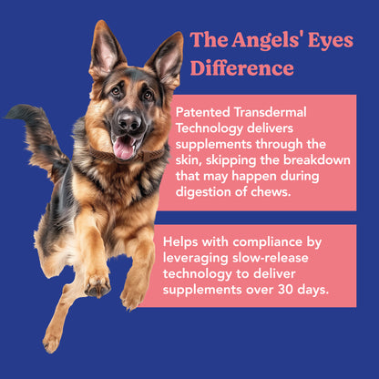 Angels' Eyes Hip & Joint Supplement, 1 Collar