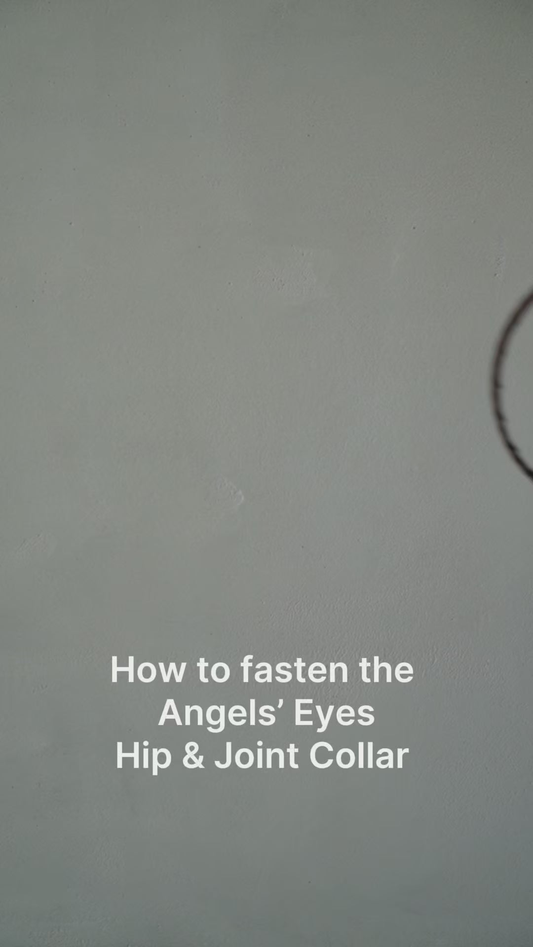 Angels’ Eyes Hip & Joint Collar | Transdermal Joint Support