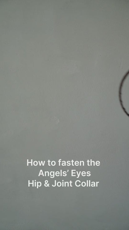 Angels’ Eyes Hip & Joint Collar | Transdermal Joint Support