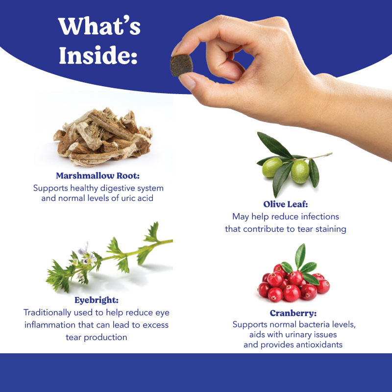 Angels’ Eyes NATURAL PLUS Tear Stain Chew for Dogs, Chicken Flavor 90ct*