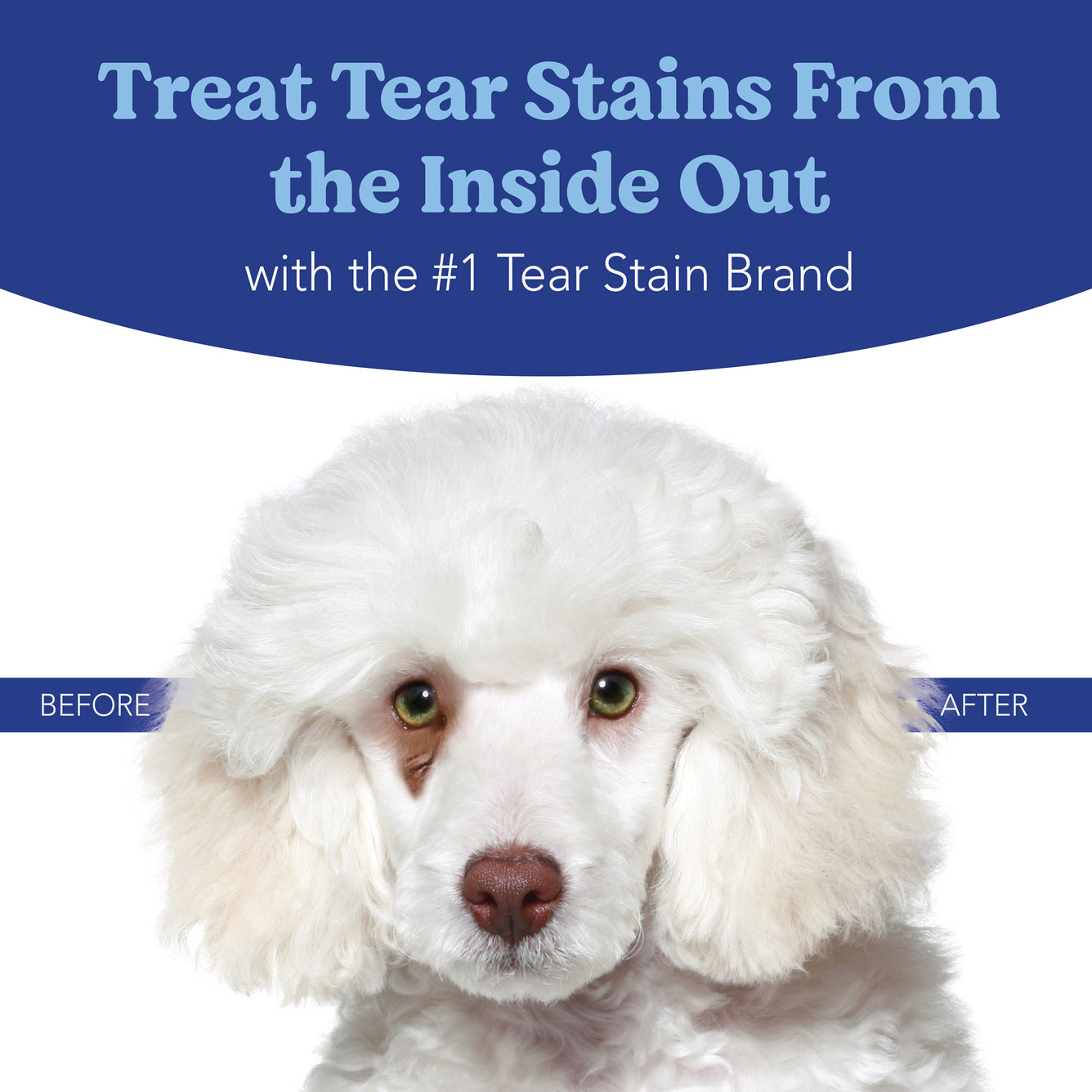 Angels’ Eyes NATURAL Tear Stain Chew for Dogs, Chicken Flavor 120ct*